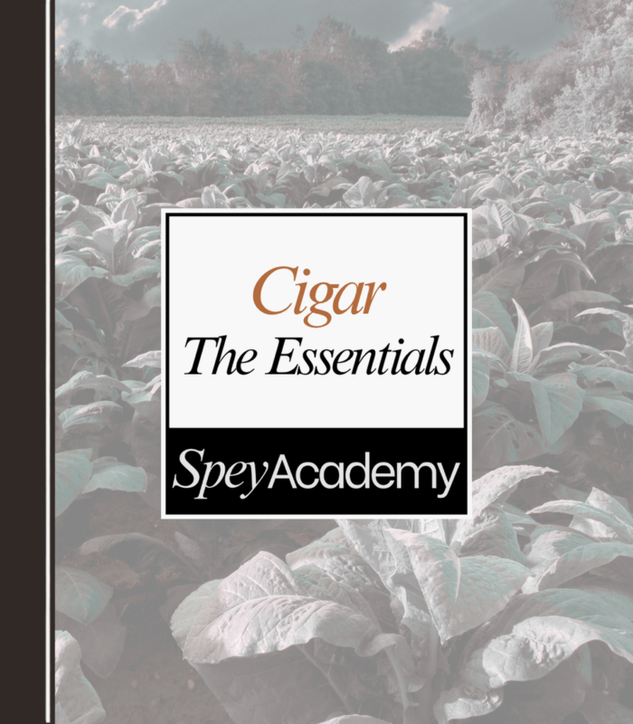 Spey Academy 11