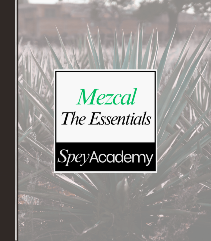 Spey Academy 14